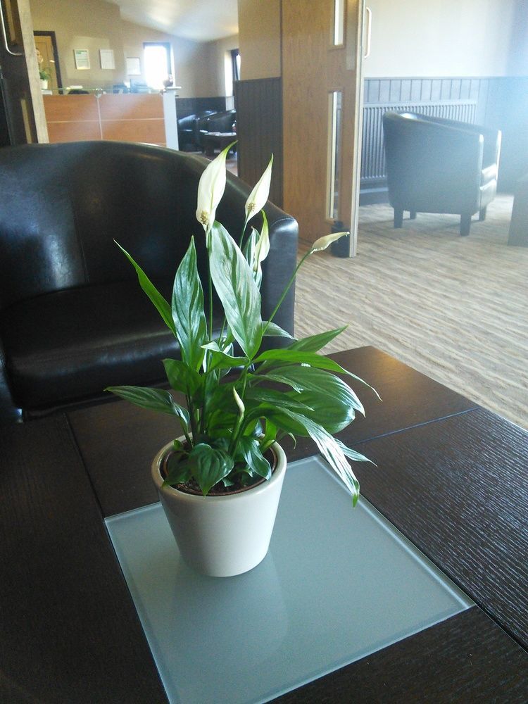 The Stones Hotel ซอลส์บรี ภายนอก รูปภาพ